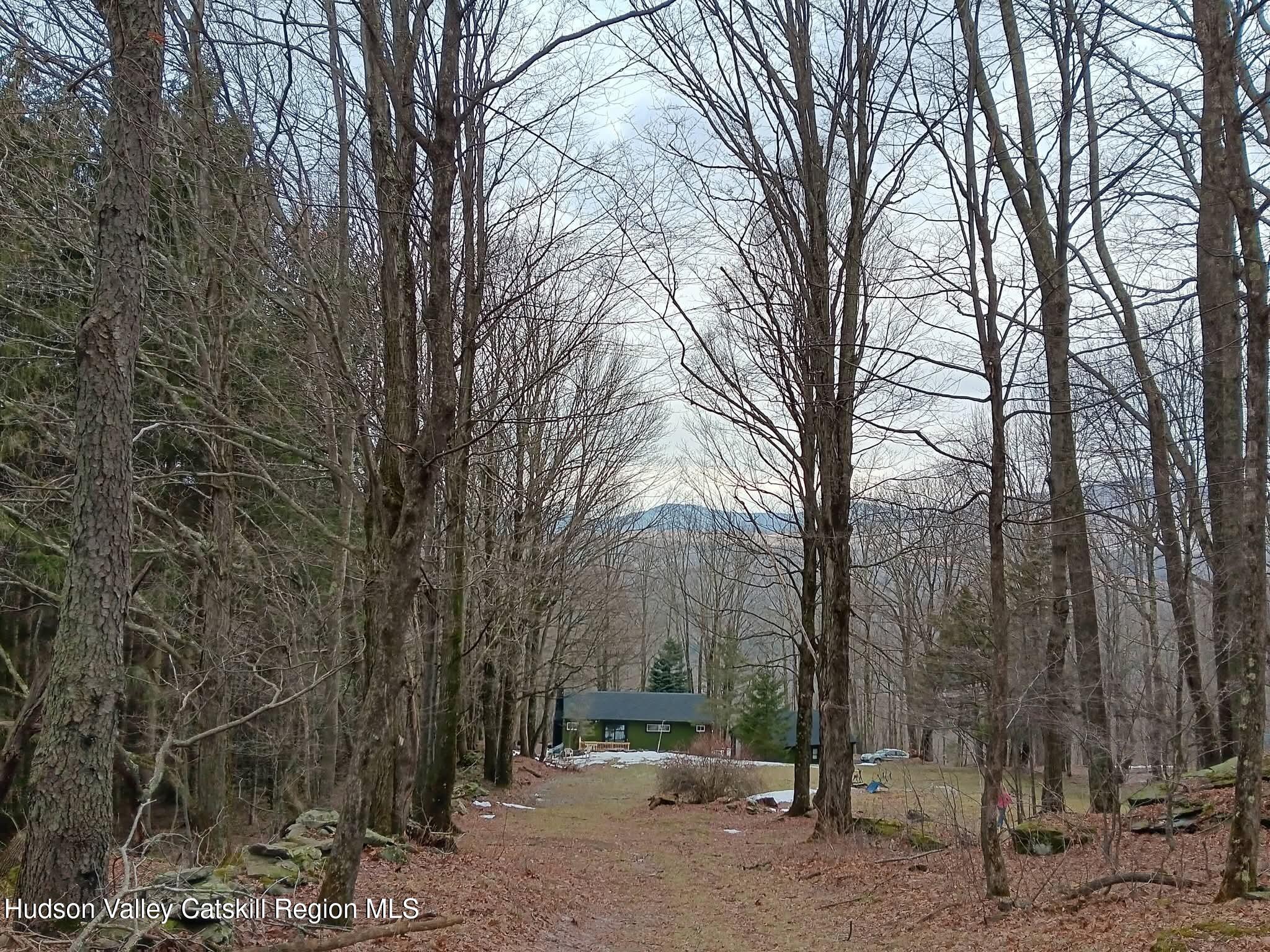 4030 Vega Mountain Road Roxbury, NY 12474 - Photo 28 of 29 a backyard of a house with trees