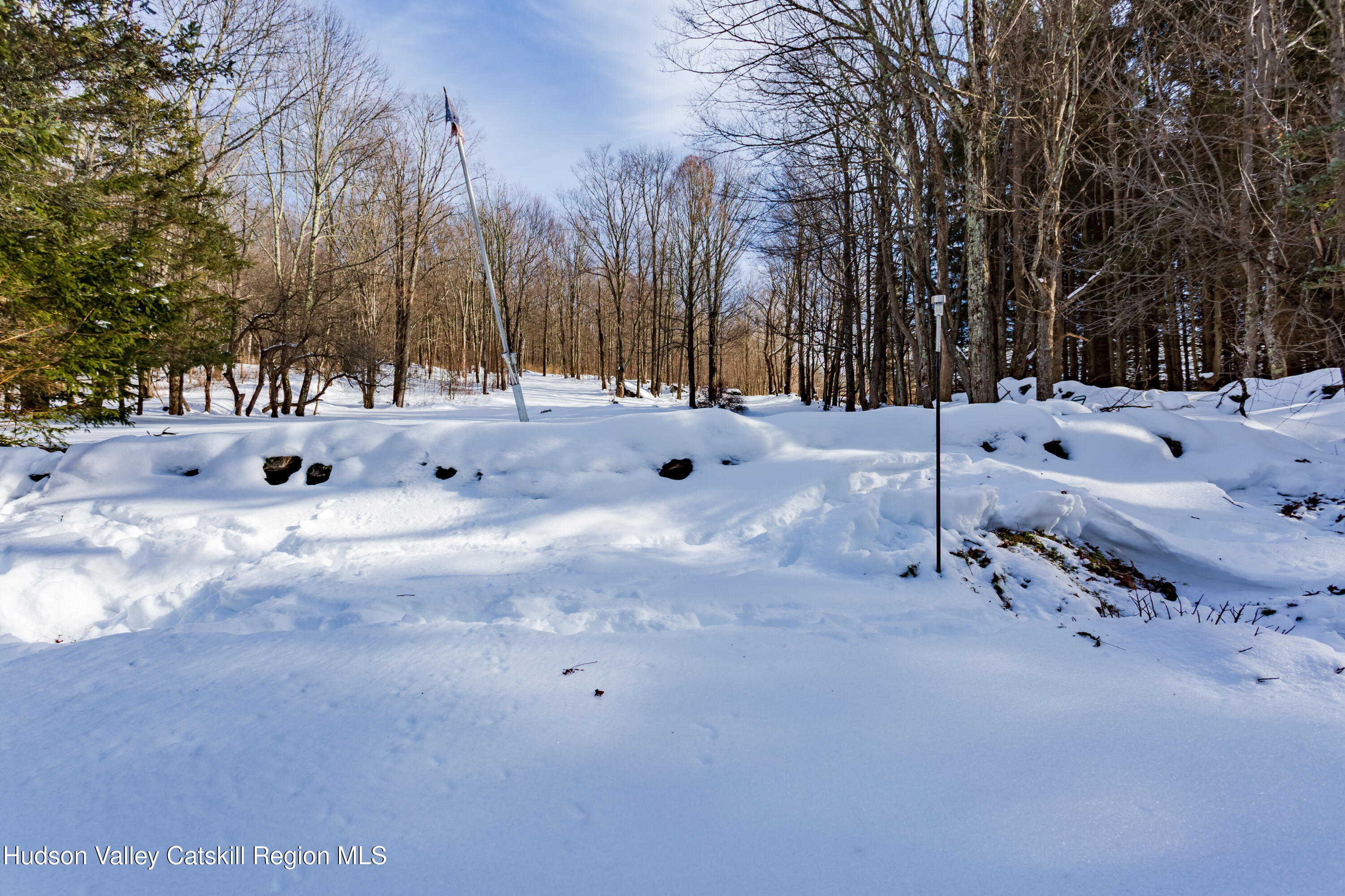 4030 Vega Mountain Road Roxbury, NY 12474 - Photo 7 of 29 a view of a snow with a yard