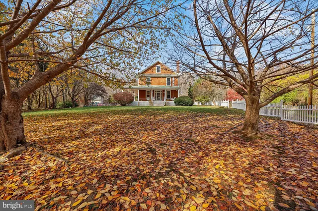 a view of a field with trees