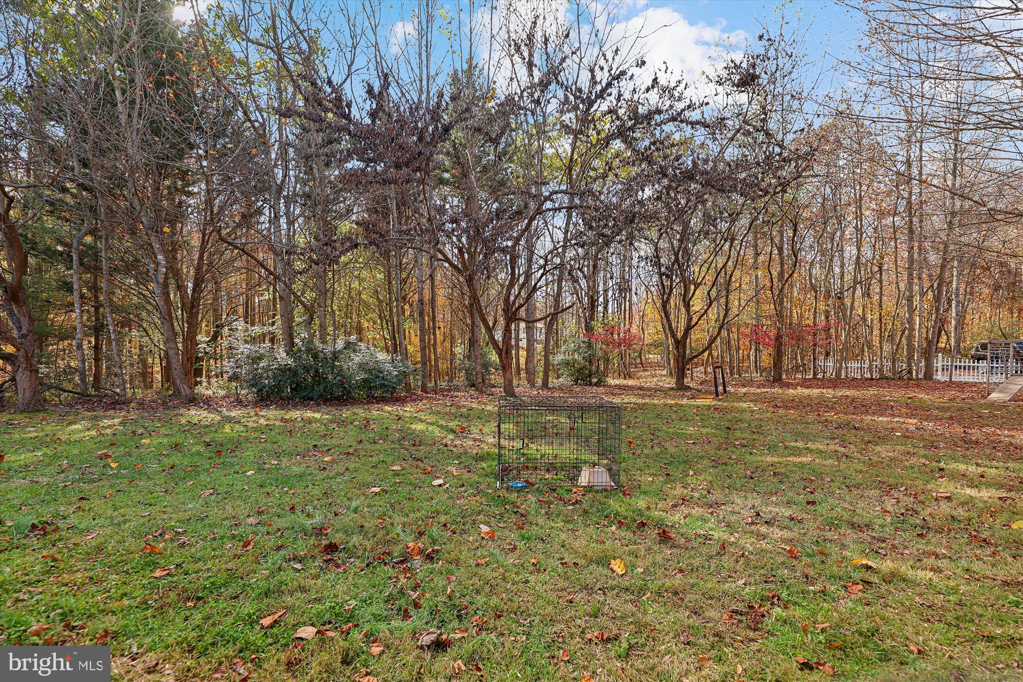 19 Walnut Hill Road La Plata, MD 20646 - Photo 33 of 73 Yard