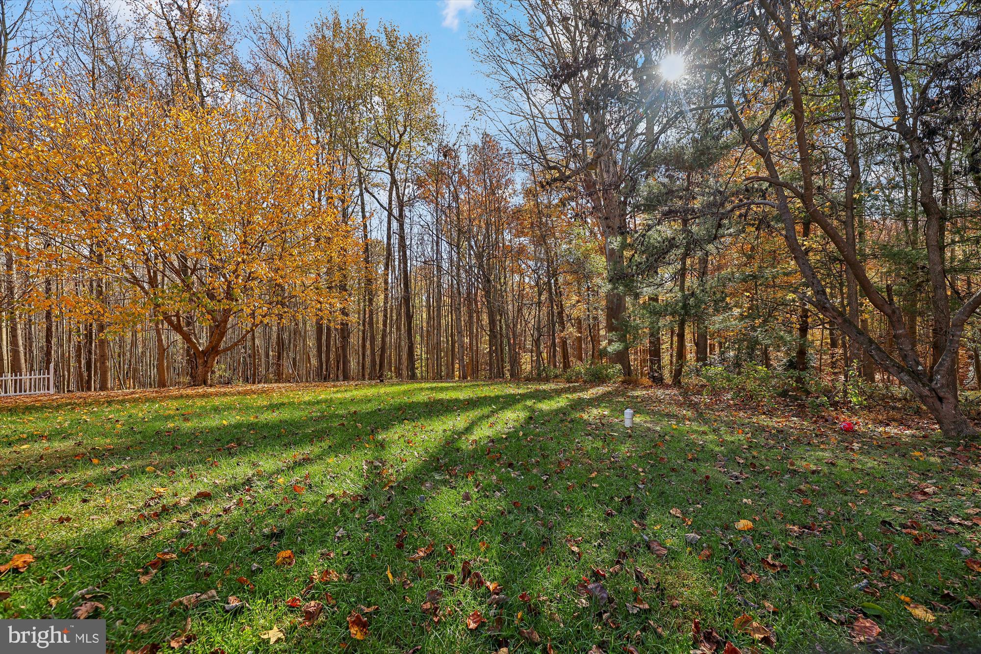 19 Walnut Hill Road La Plata, MD 20646 - Photo 34 of 73 Yard