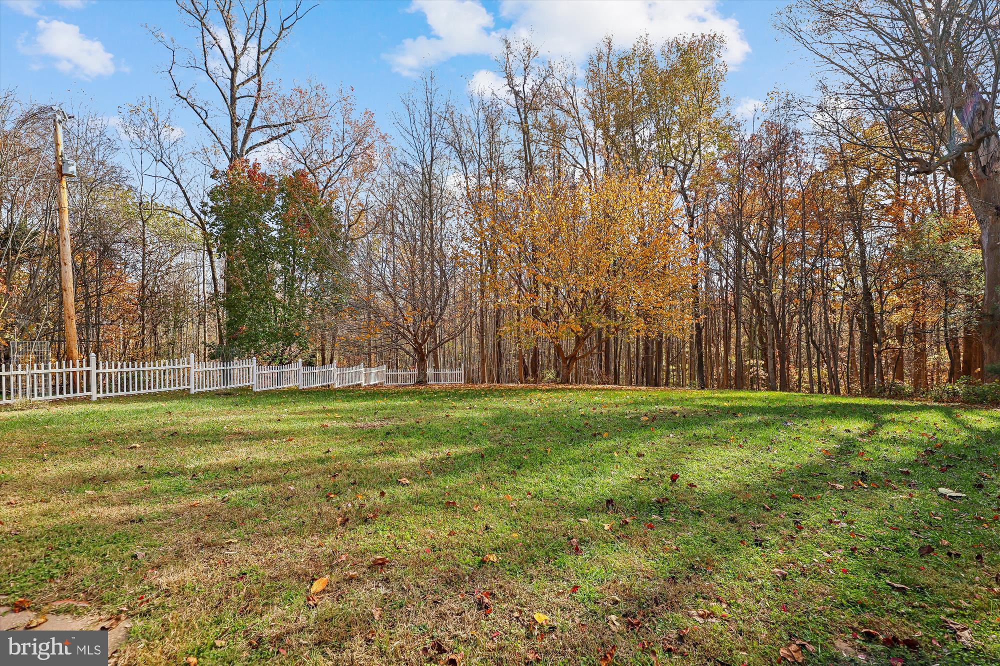 19 Walnut Hill Road La Plata, MD 20646 - Photo 35 of 73 Side Yard