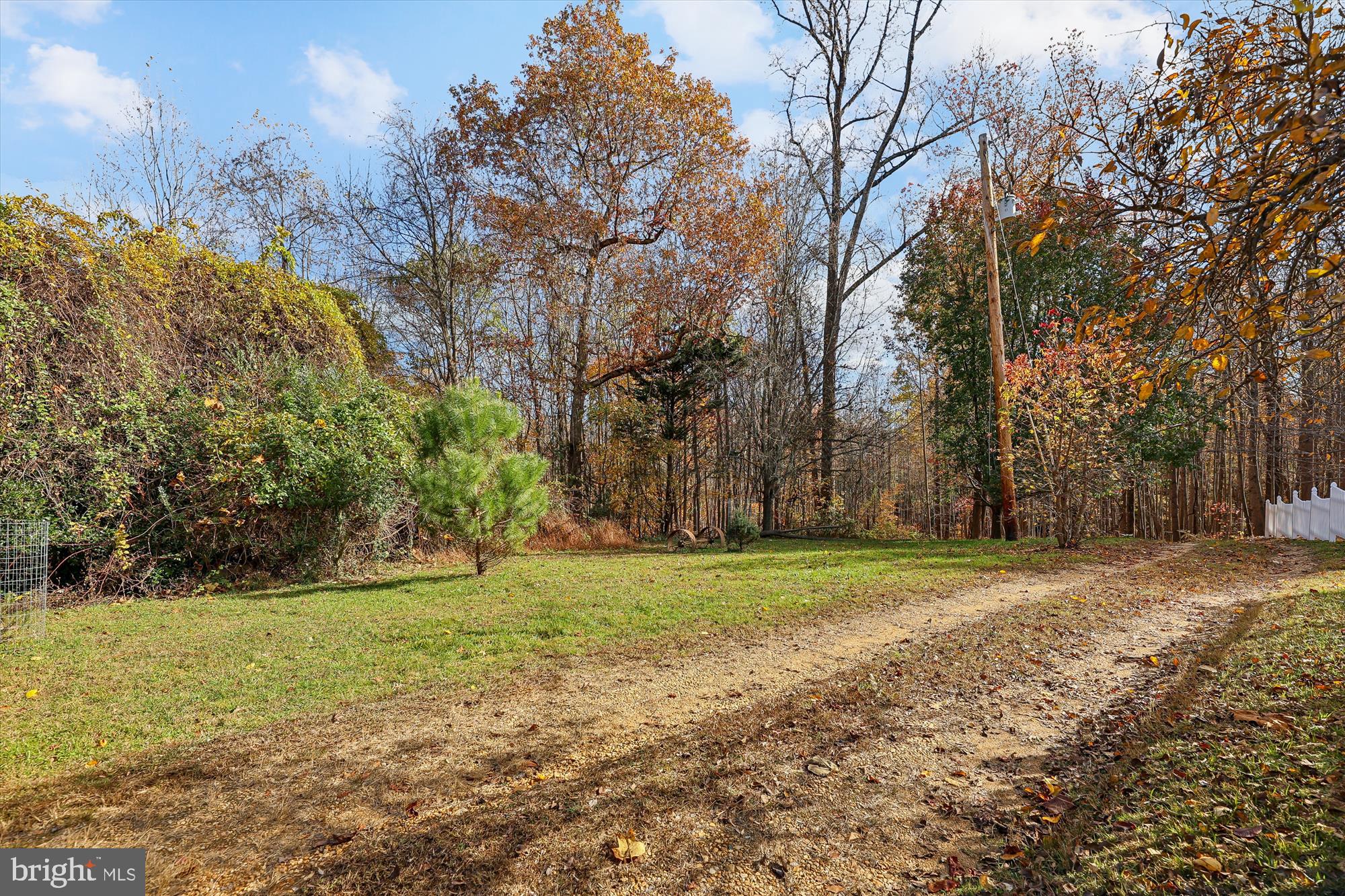 19 Walnut Hill Road La Plata, MD 20646 - Photo 39 of 70 a view of a field with trees