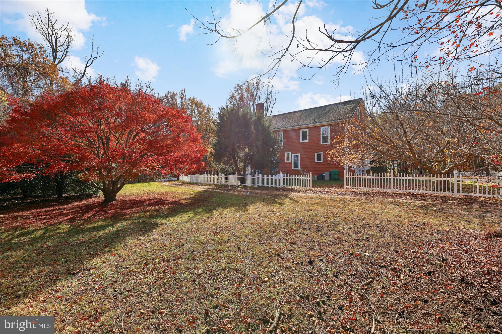 19 Walnut Hill Road La Plata, MD 20646 - Photo 42 of 70 a view of yard with large tree