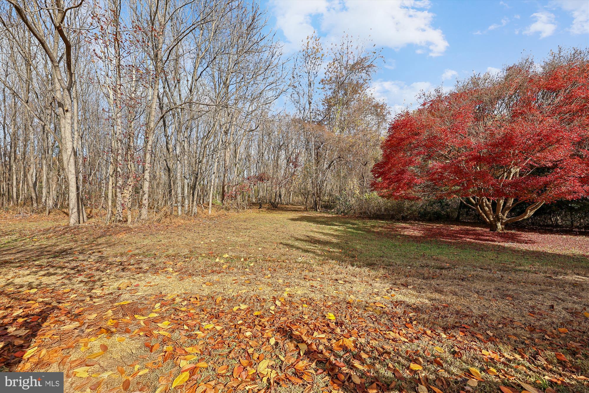 19 Walnut Hill Road La Plata, MD 20646 - Photo 44 of 70 a view of dirt yard with a house