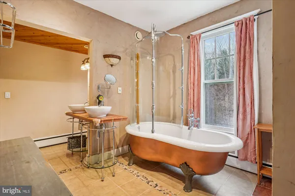 a view of a backyard with plants and a tree