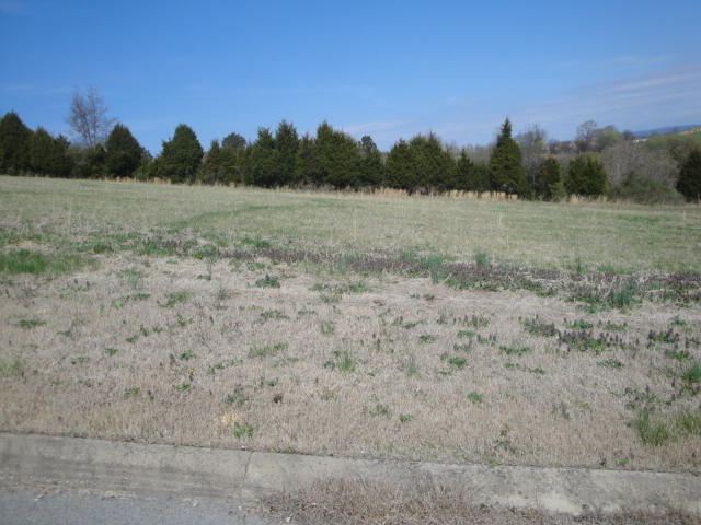 Lot 15 Pocahontas Lane Rutledge, TN 37861 - Photo 3 of 3 Lot 15 (2)