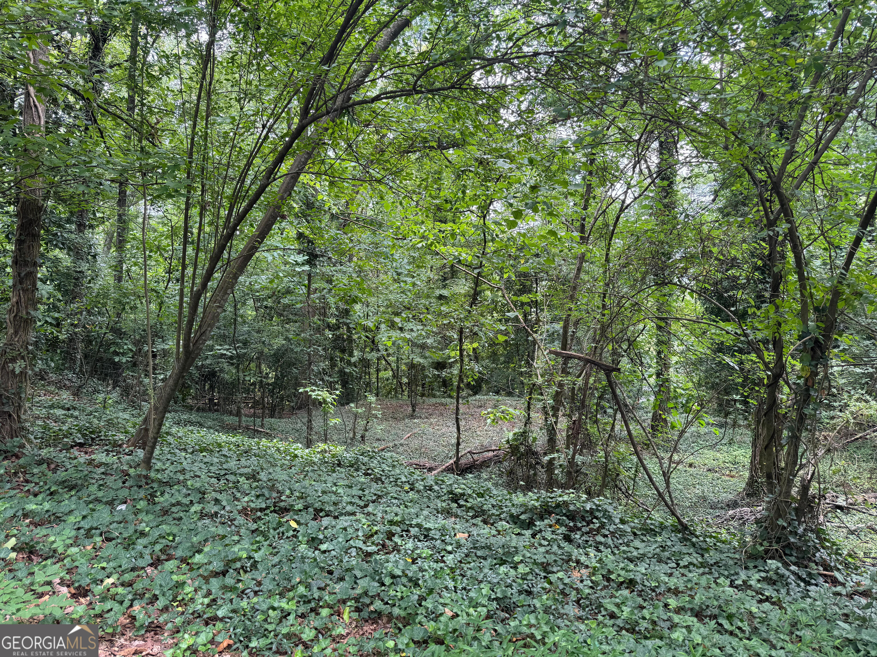 0 Turnbull Drive Rome, GA 30161 - Photo 1 of 4 a view of a lush green forest