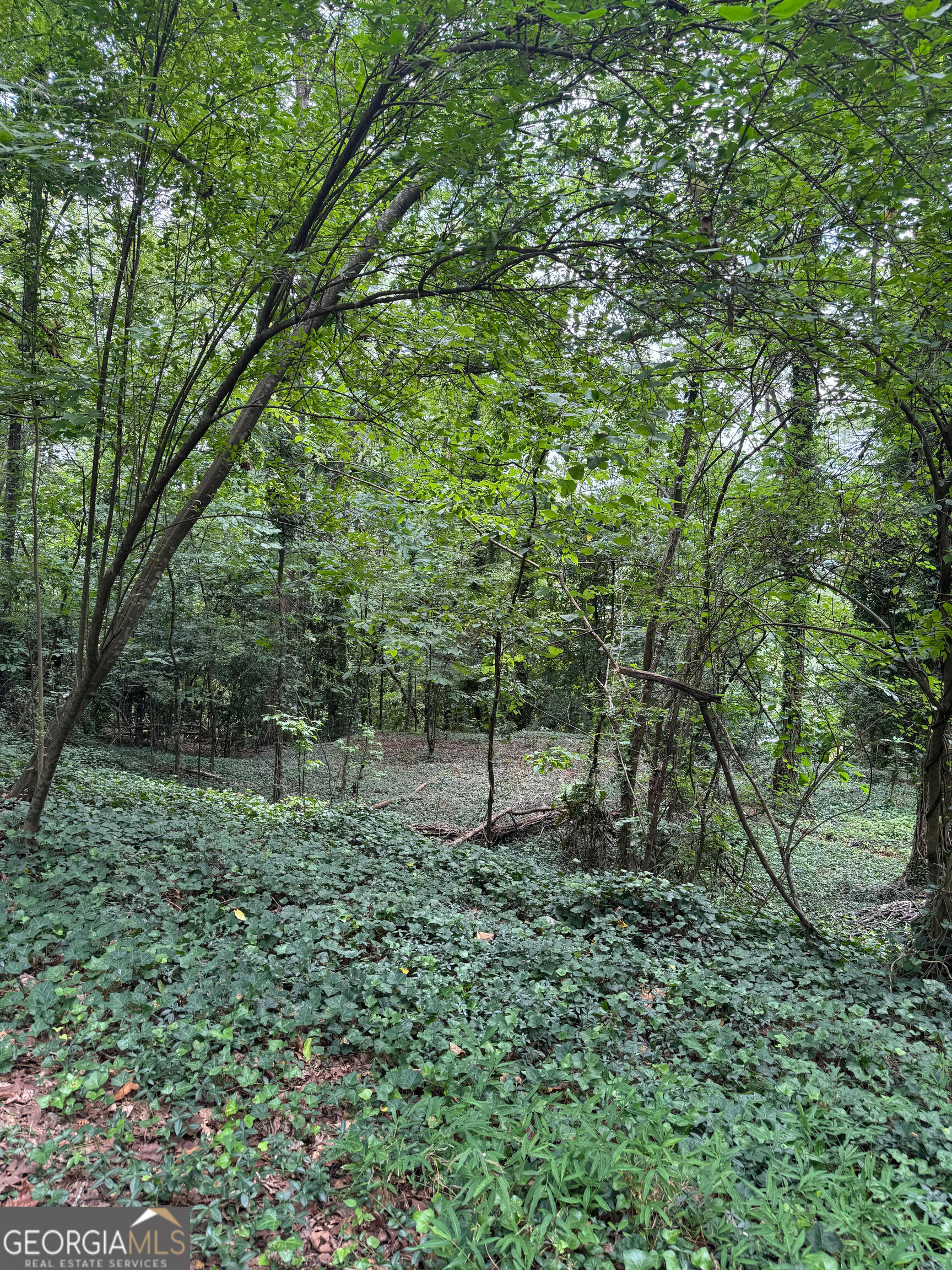 0 Turnbull Drive Rome, GA 30161 - Photo 3 of 4 a big yard with lots of green space and plants