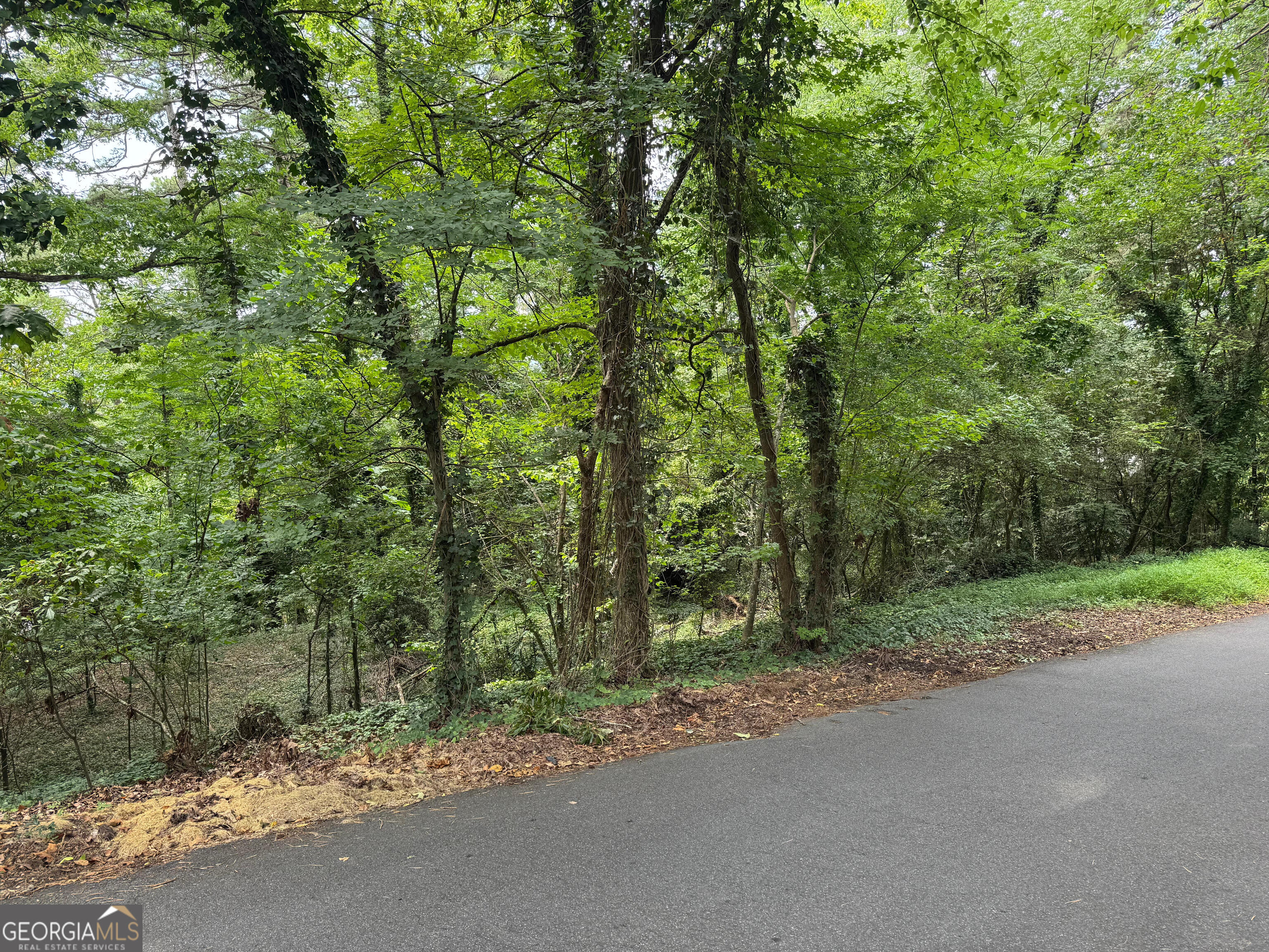 0 Turnbull Drive Rome, GA 30161 - Photo 4 of 4 a view of a forest filled with trees