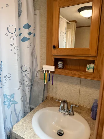 a bathroom with a sink and a mirror