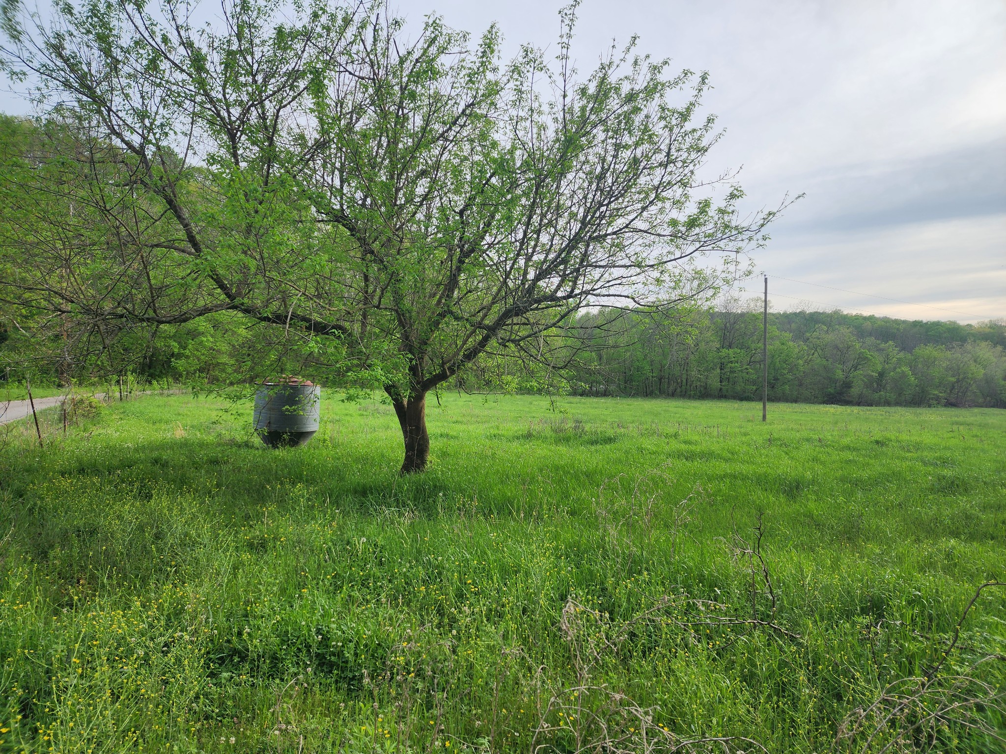 0 Walnut Grove Road Waynesboro, TN 38485 - Photo 1 of 5 Gallery Image 1