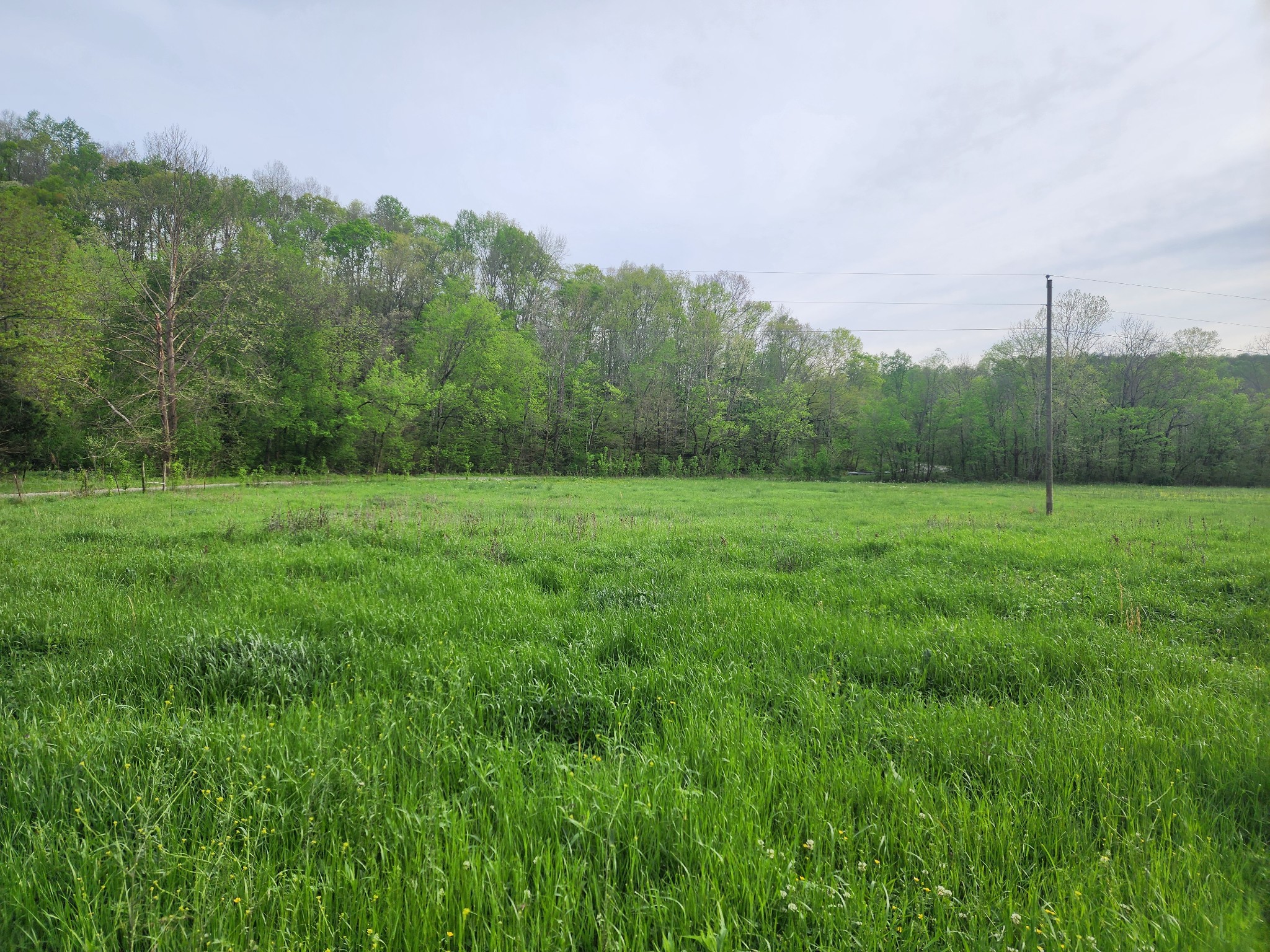 0 Walnut Grove Road Waynesboro, TN 38485 - Photo 3 of 5 Gallery Image 3