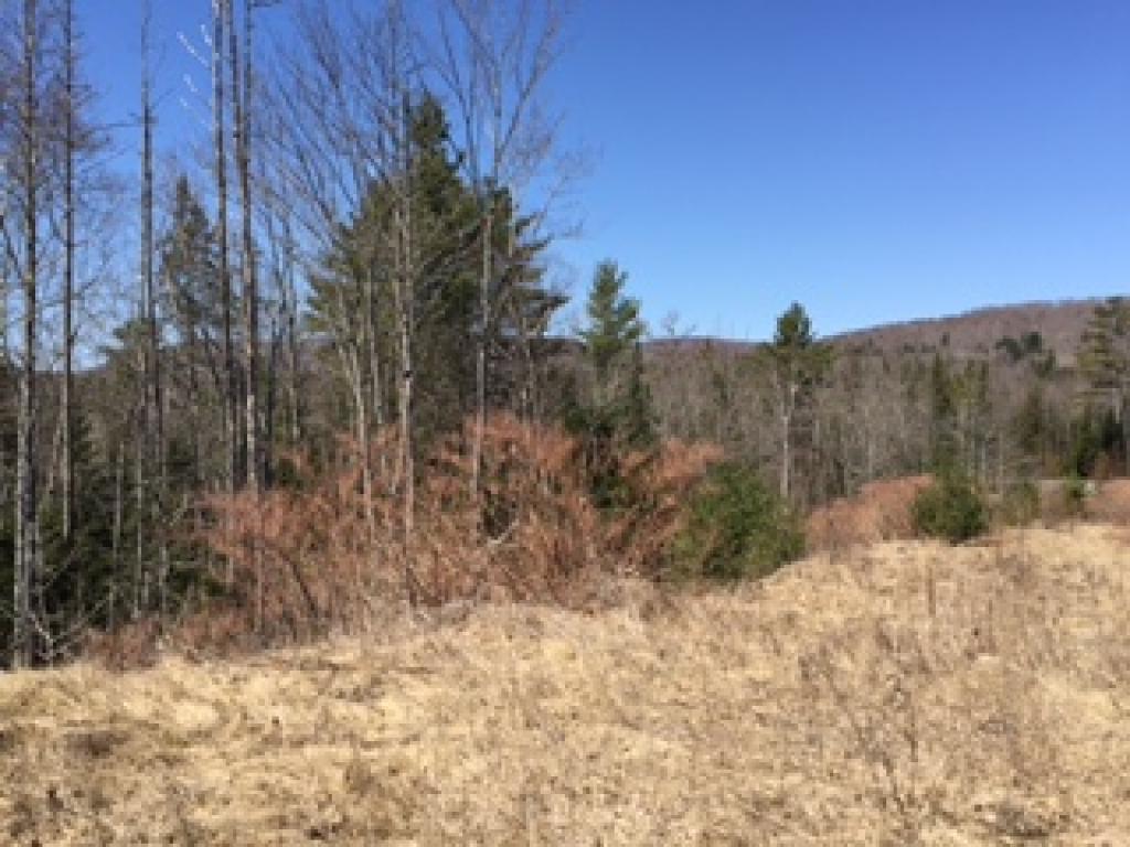 0 East Concord Road Lunenburg, VT 05906 - Photo 2 of 8
