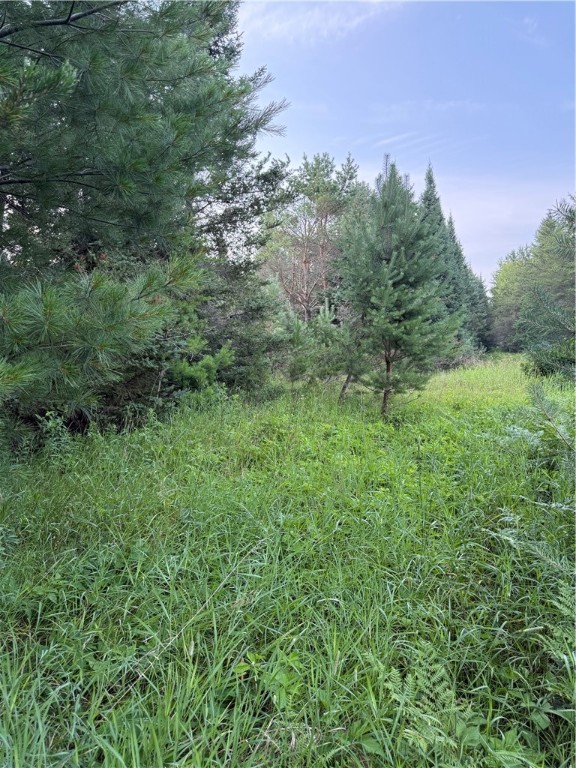 0 Tagalder Trail Hayward, WI 54843 - Photo 8 of 23