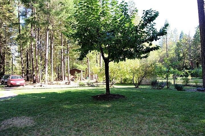 835 Kincaid Road Williams, OR 97544 - Photo 25 of 35 Additional Photo