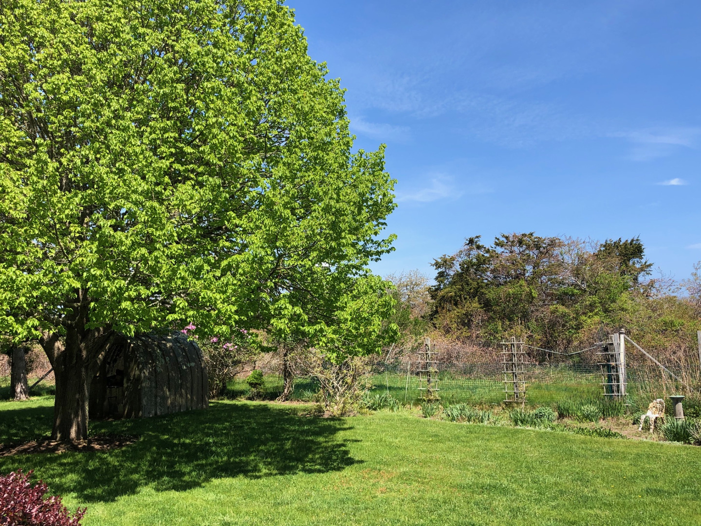 27 Stone Post Way Nantucket, MA 02554 - Photo 4 of 25 Linden Tree