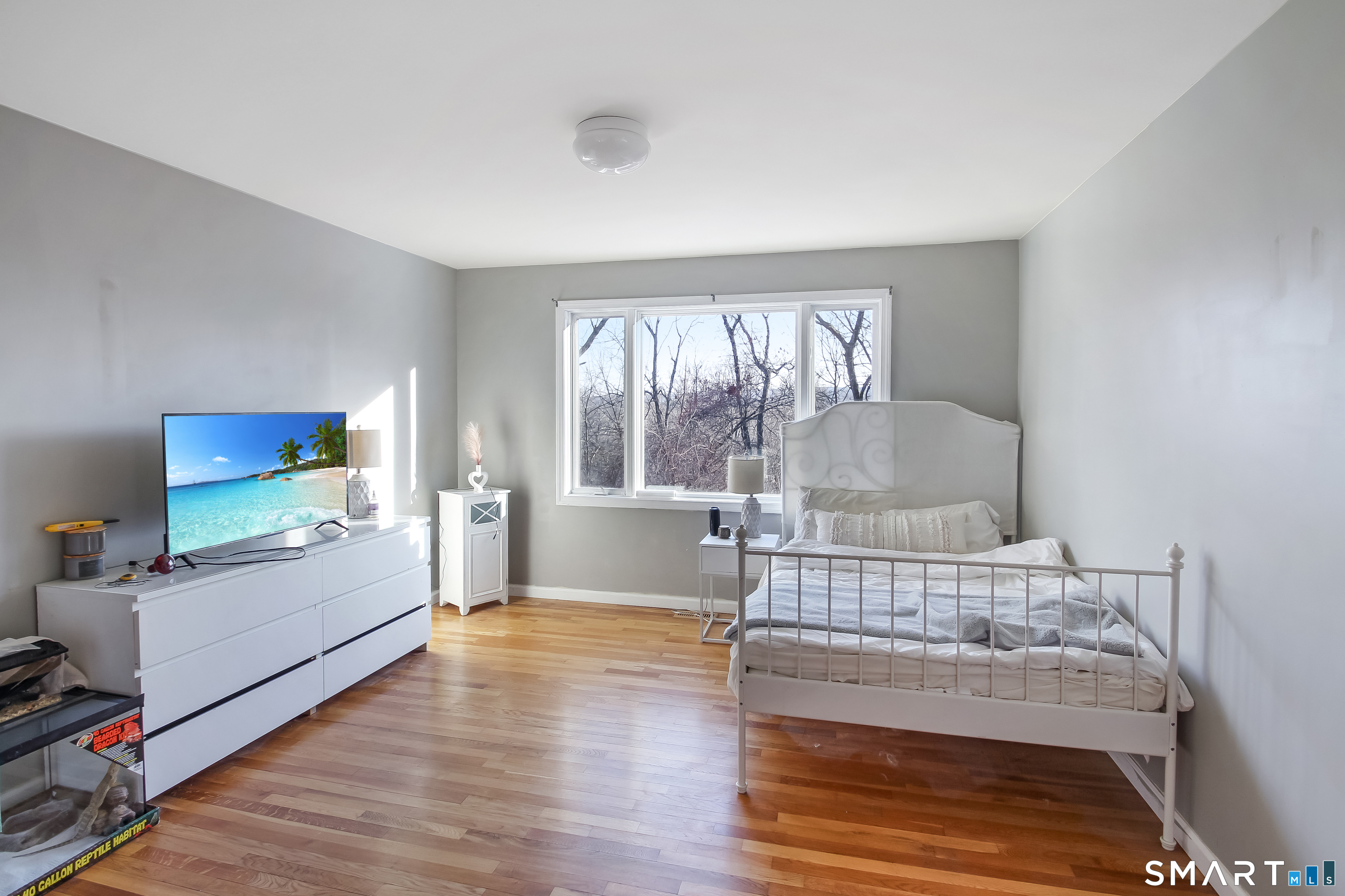 91 Insalaco Drive Windham, CT 06280 - Photo 19 of 20 a living room with furniture and a flat screen tv