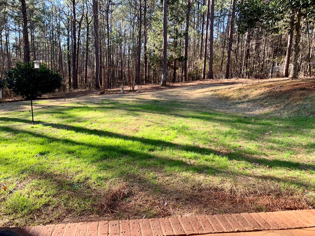 477 Evergreen Drive Fortson, GA 31808 - Photo 19 of 20