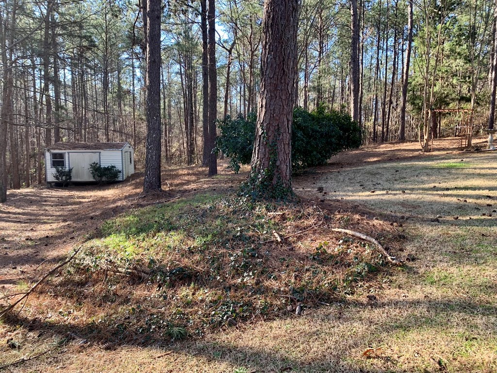 477 Evergreen Drive Fortson, GA 31808 - Photo 20 of 20