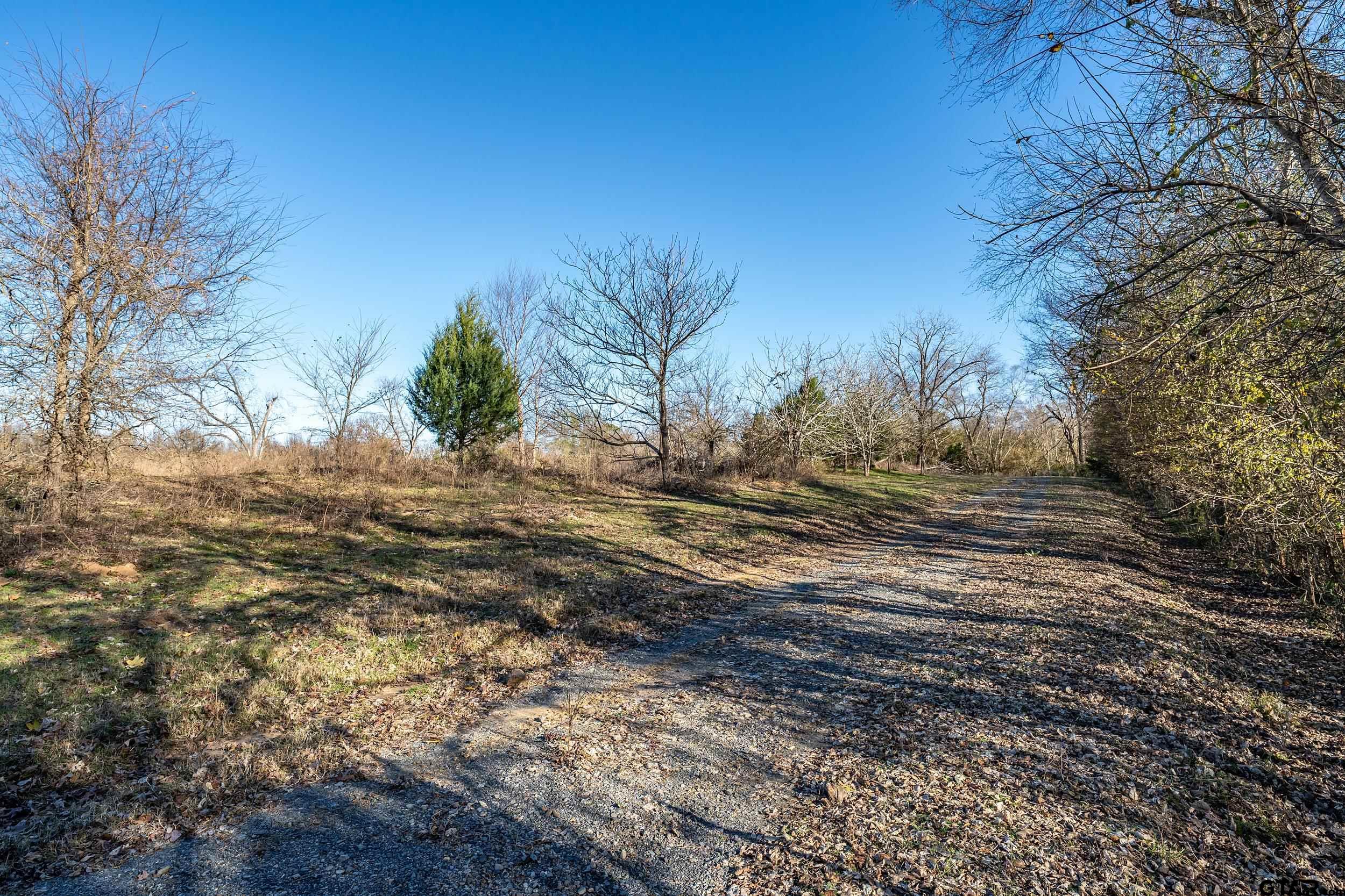 a view of dirt field with trees