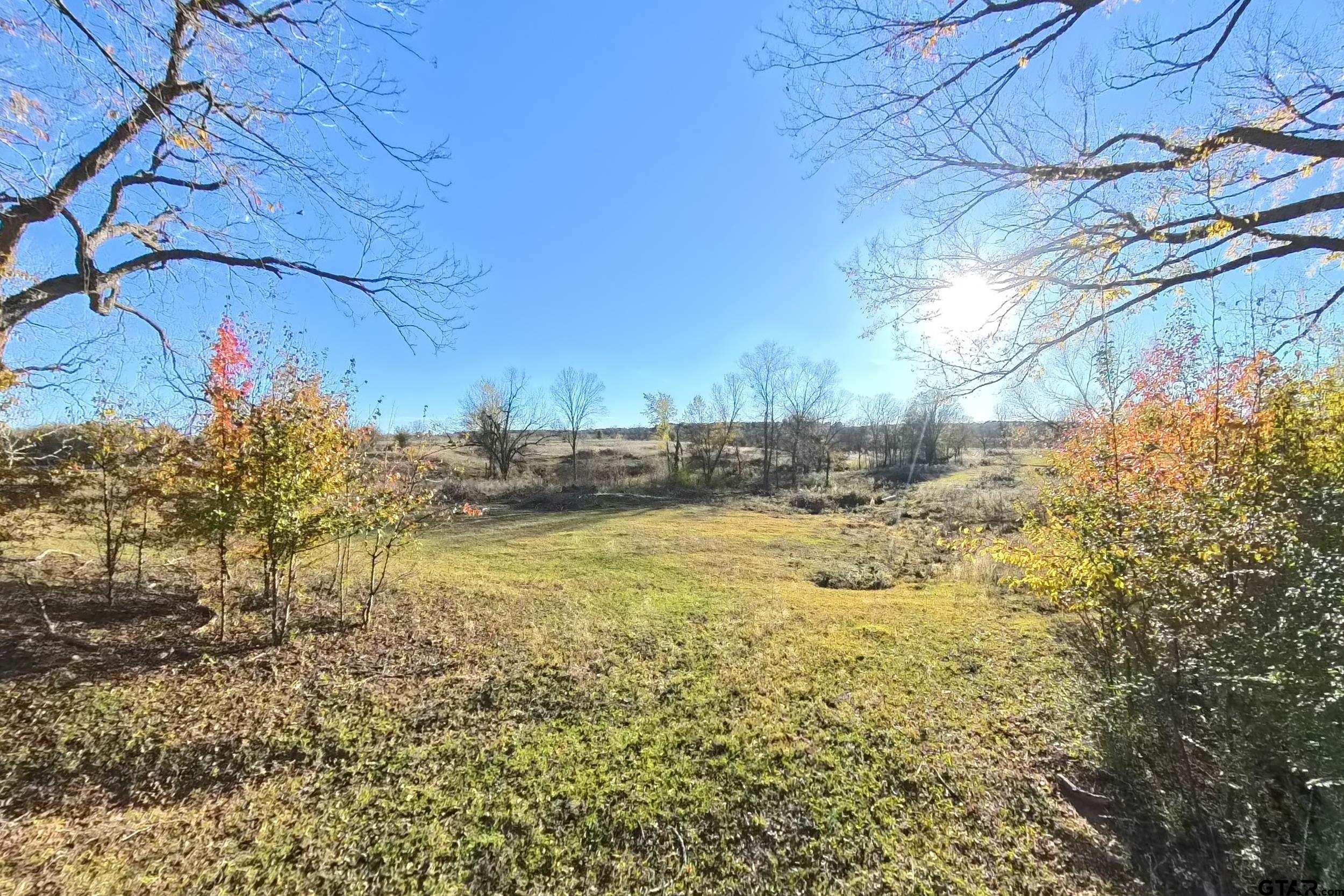 14461 County Road 46 Tyler, TX 75704 - Photo 11 of 12 a view of yard with large tree