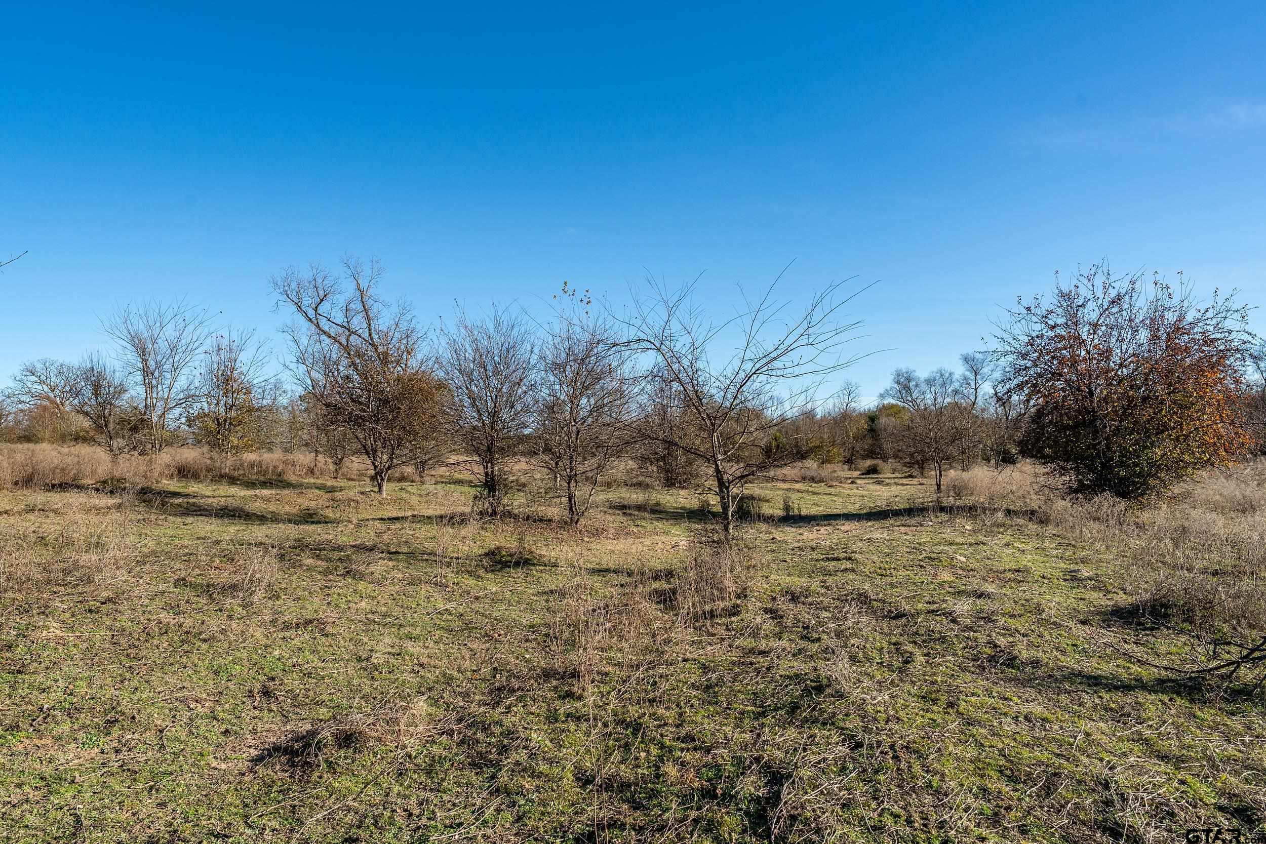 14461 County Road 46 Tyler, TX 75704 - Photo 4 of 12 a view of a dry yard with wooden fence