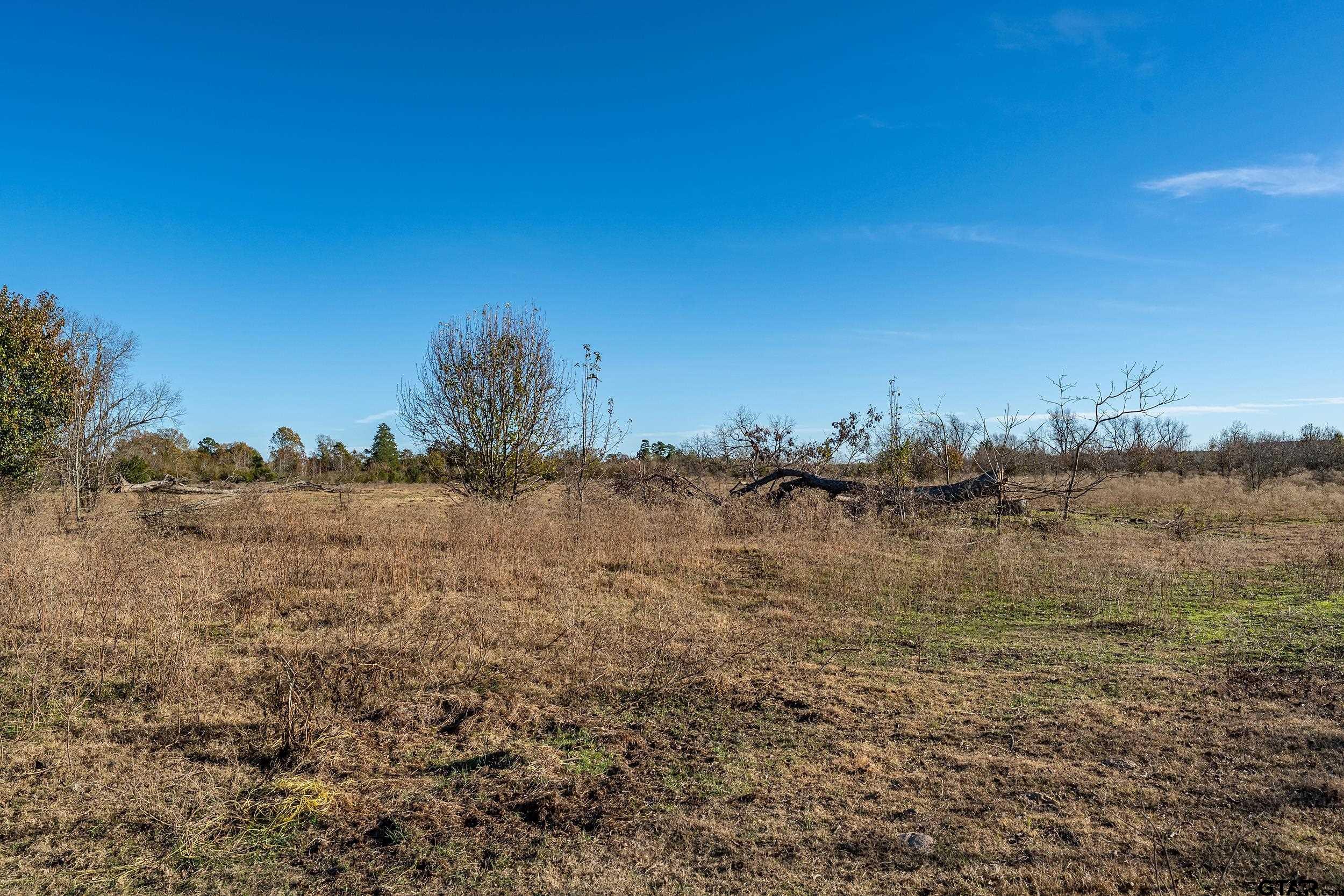 14461 County Road 46 Tyler, TX 75704 - Photo 7 of 12 a view of lake view
