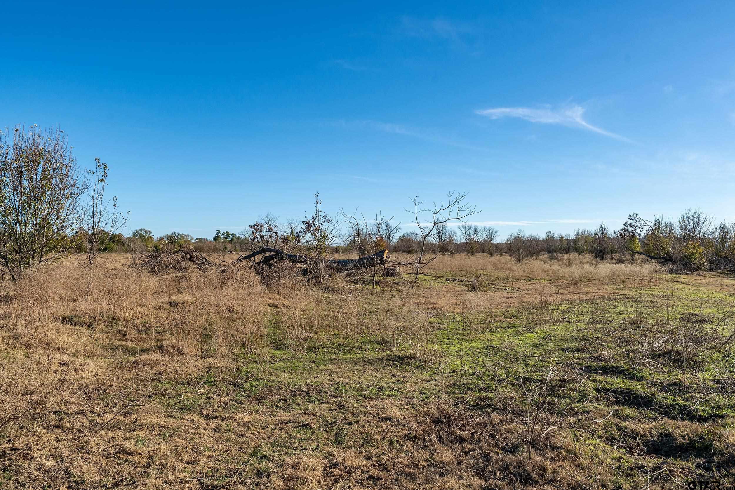 14461 County Road 46 Tyler, TX 75704 - Photo 8 of 12