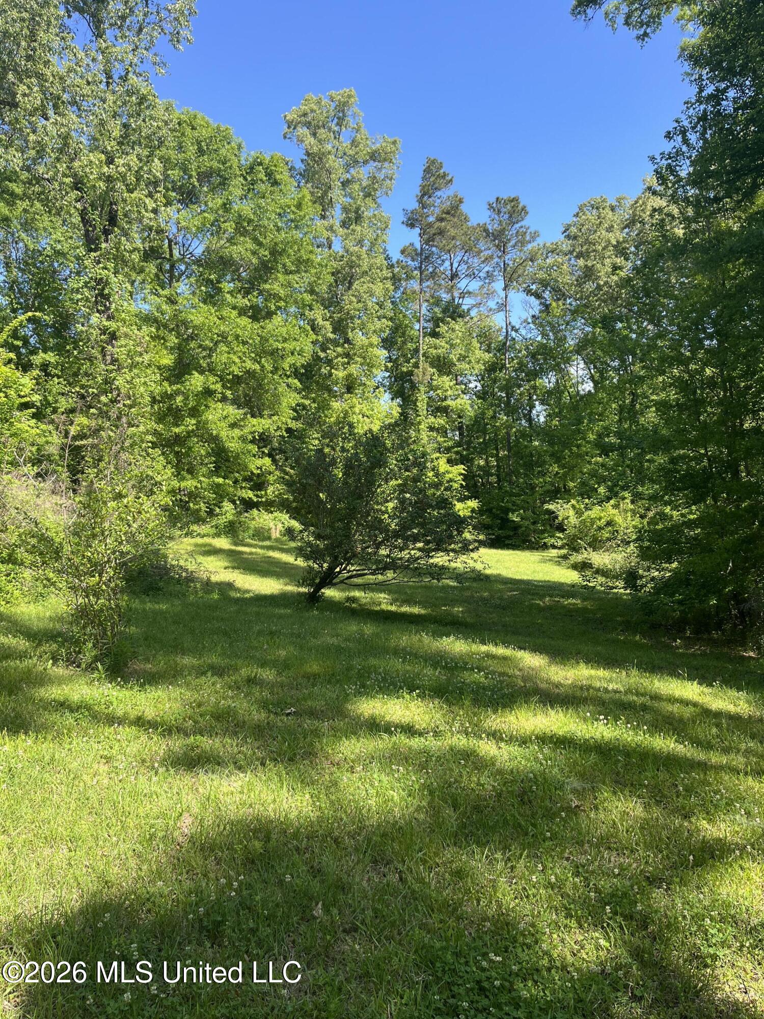 22 Deer Lake Road Natchez, MS 39120 - Photo 22 of 33 IMG_3055