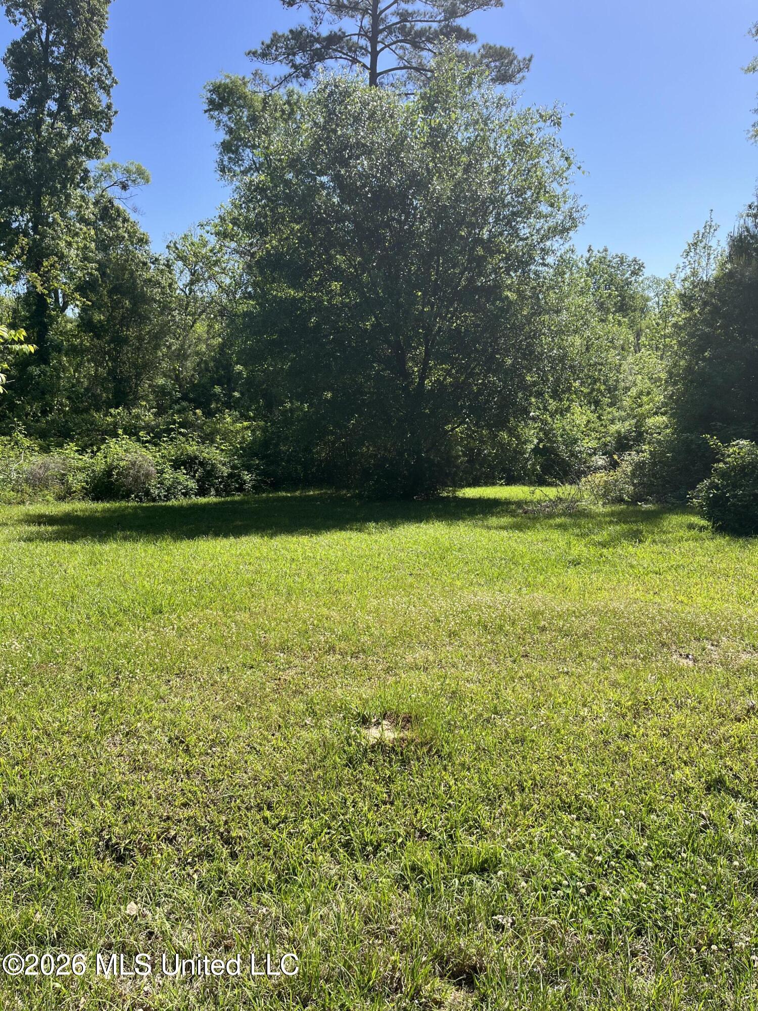 22 Deer Lake Road Natchez, MS 39120 - Photo 23 of 33 IMG_3056 (1)