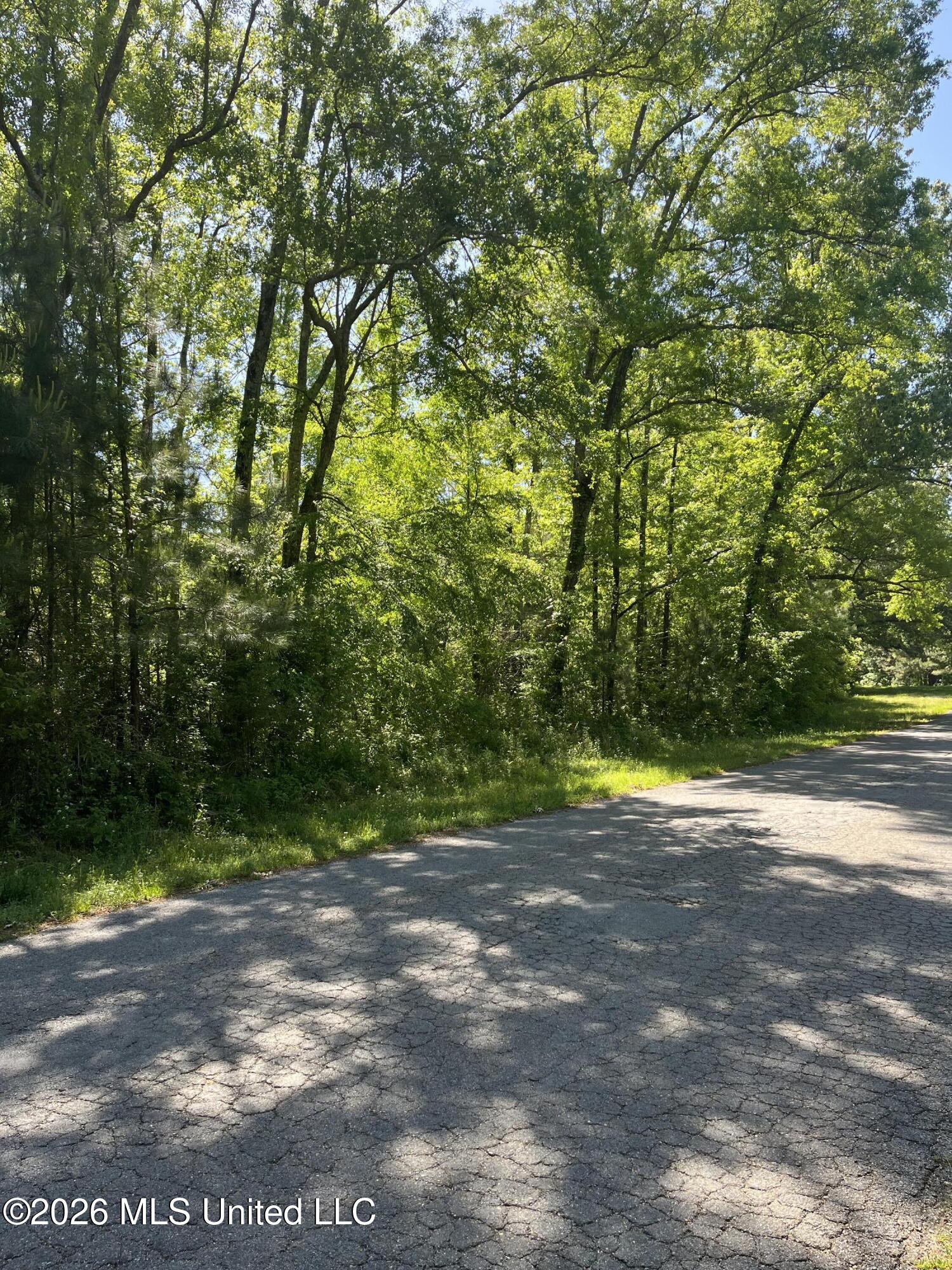 22 Deer Lake Road Natchez, MS 39120 - Photo 25 of 33 IMG_3058