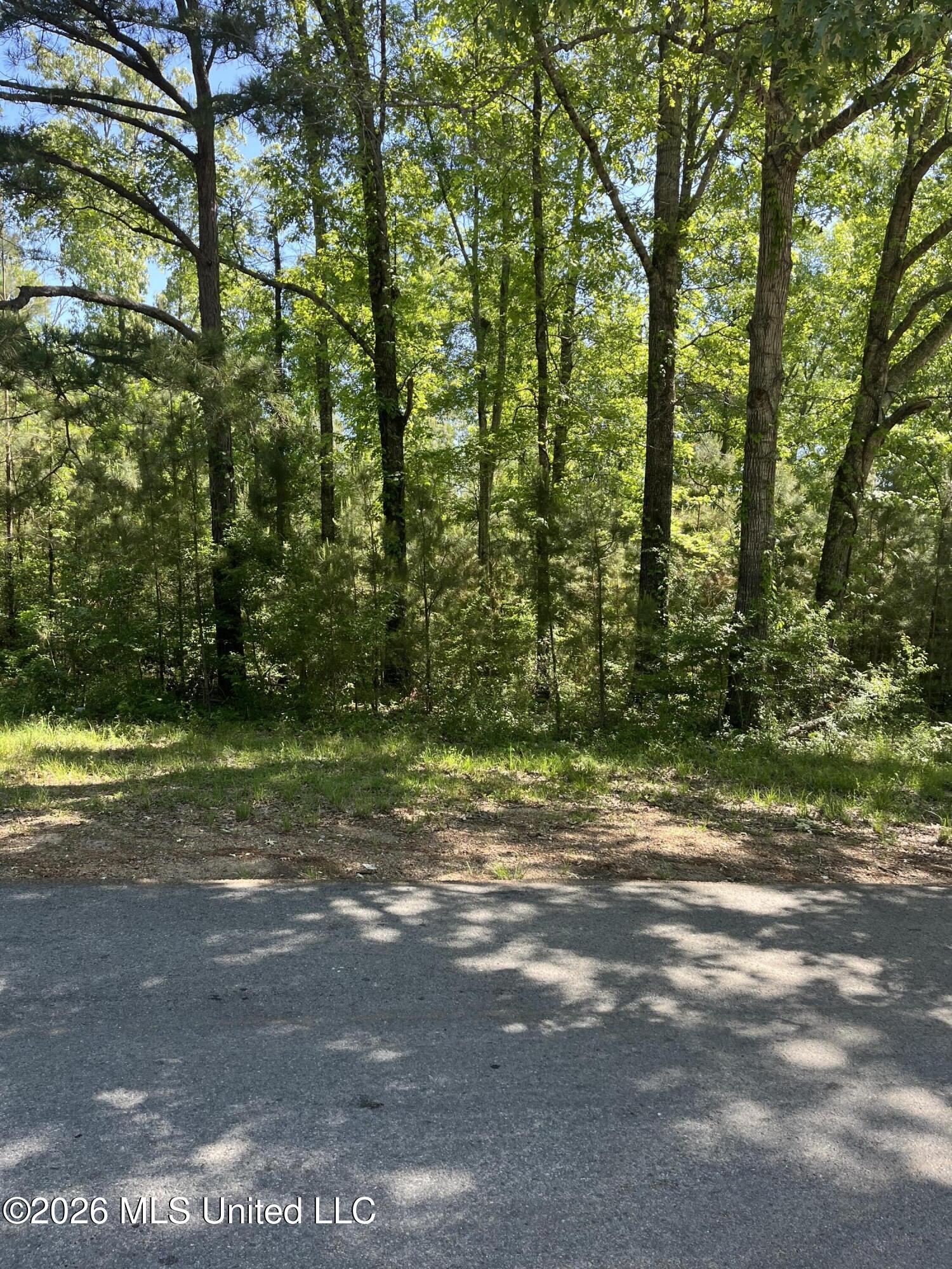 22 Deer Lake Road Natchez, MS 39120 - Photo 26 of 33 IMG_3061