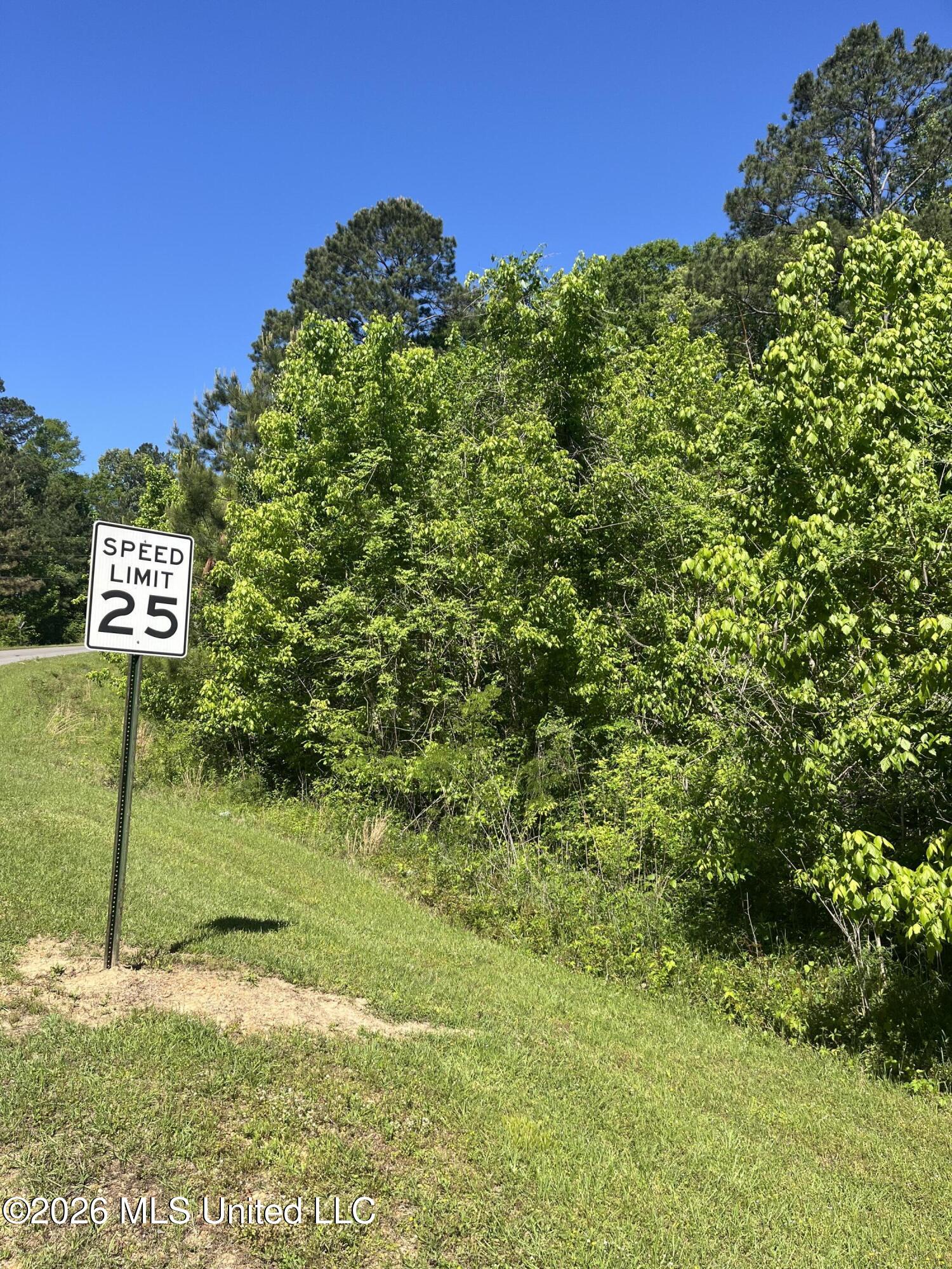 22 Deer Lake Road Natchez, MS 39120 - Photo 27 of 33 IMG_3063