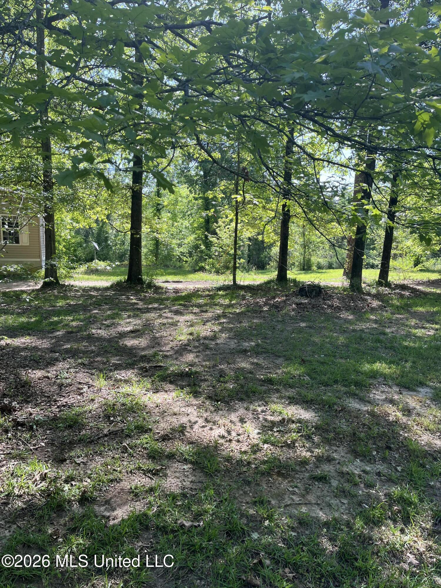 22 Deer Lake Road Natchez, MS 39120 - Photo 30 of 33 IMG_3049