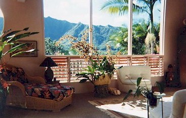 1667 Kanepoonui Road Kapaa, HI 96746 - Photo 3 of 15 a potted plants sitting in front of a house