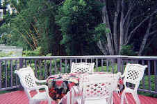 1667 Kanepoonui Road Kapaa, HI 96746 - Photo 8 of 15 a view of a balcony with furniture