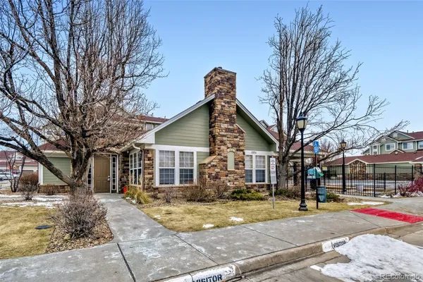 a view of road with large trees