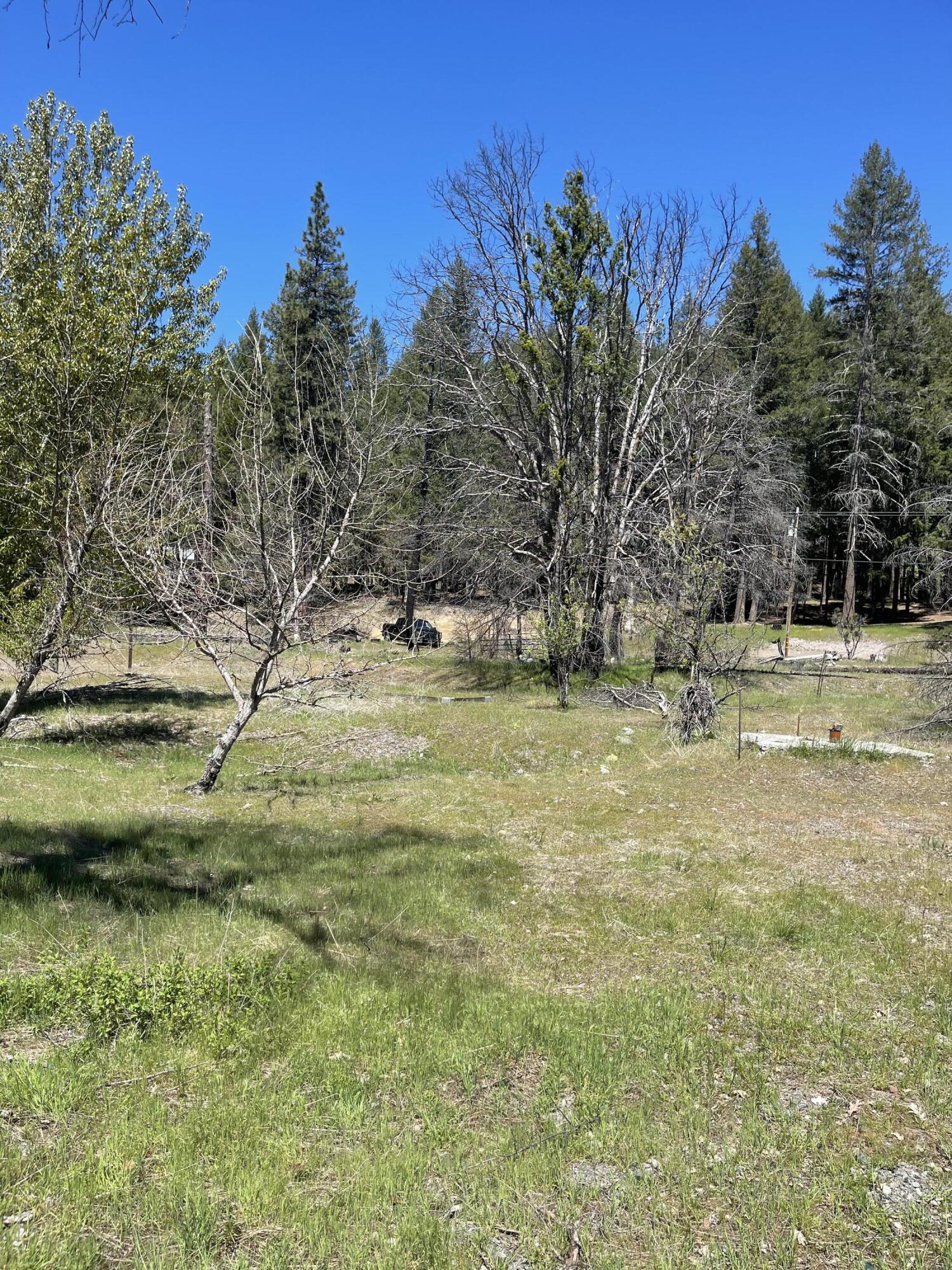 300 Cedar Gap Road Mad River, CA 95552 - Photo 1 of 11