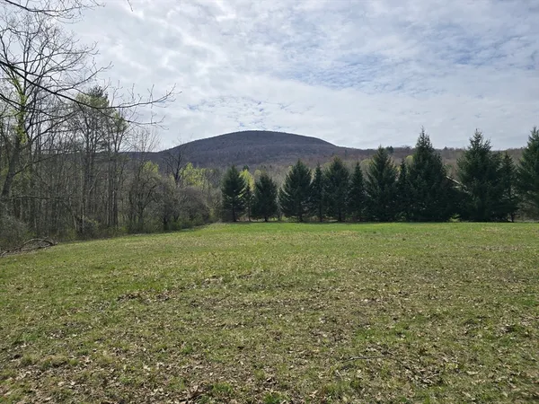 a view of a field