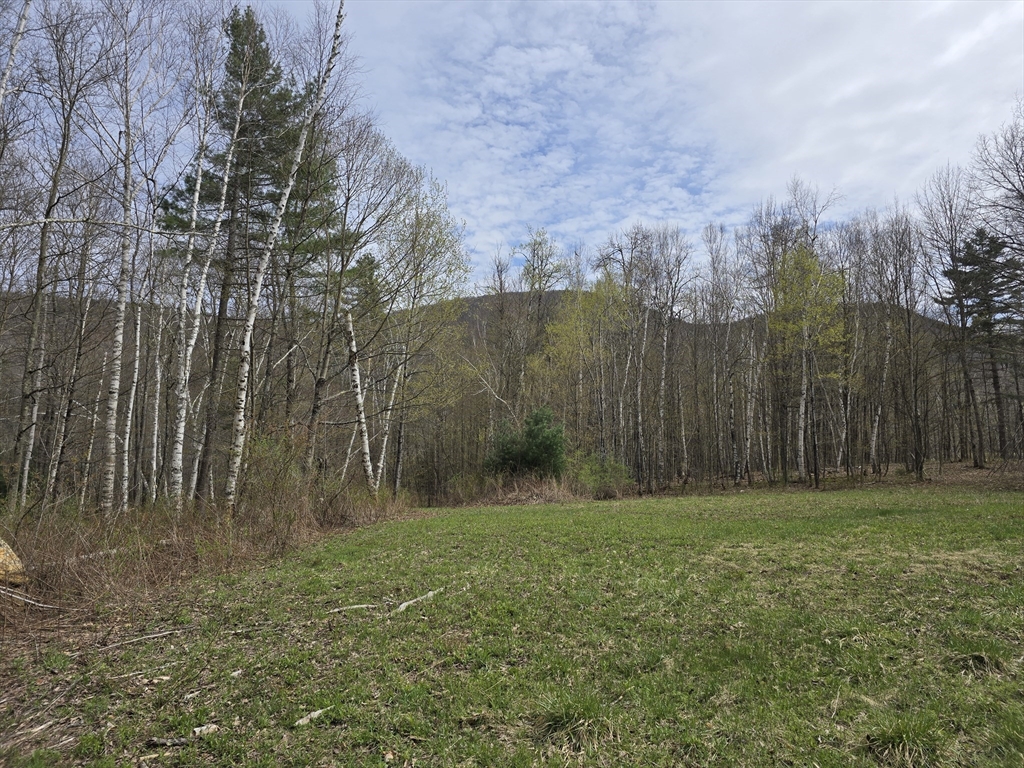 0 Reservoir Road North Adams, MA 01247 - Photo 11 of 13 a view of outdoor space with green field and trees