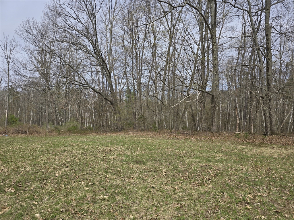 0 Reservoir Road North Adams, MA 01247 - Photo 13 of 13 a view of a field with trees in the background