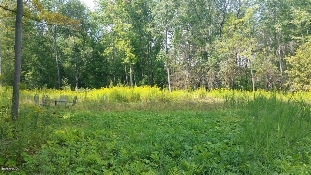 0 Reservoir Road North Adams, MA 01247 - Photo 3 of 13 a view of lake with green space