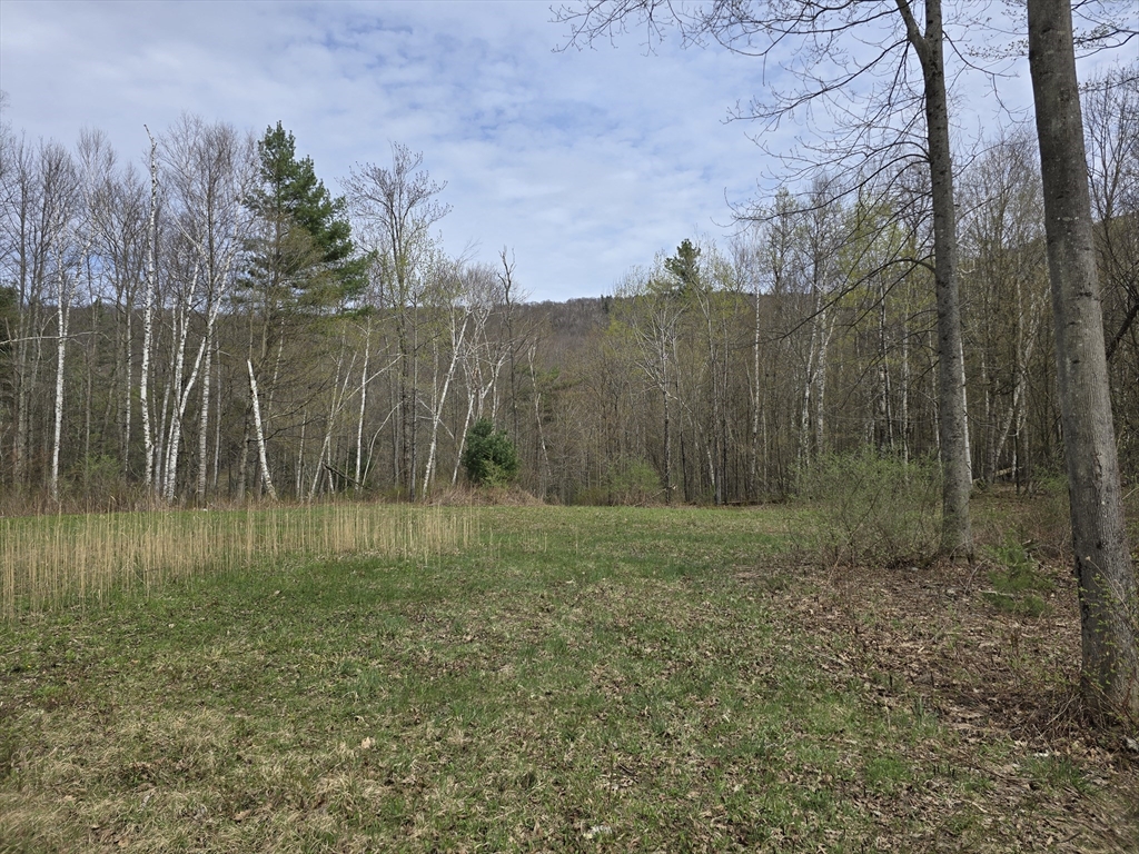 0 Reservoir Road North Adams, MA 01247 - Photo 7 of 13 a view of a yard with a tree