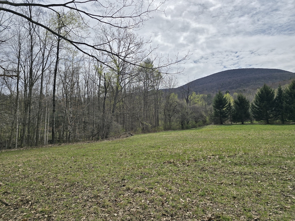 0 Reservoir Road North Adams, MA 01247 - Photo 9 of 13 a view of a field of grass and trees