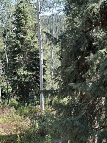 1456 Navajo Road Coalville, UT 84017 - Photo 40 of 55 View of woods