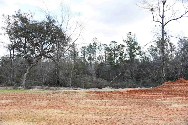 $200,000 | Lot 4 Creek Bluff Drive, Pace, FL 32571