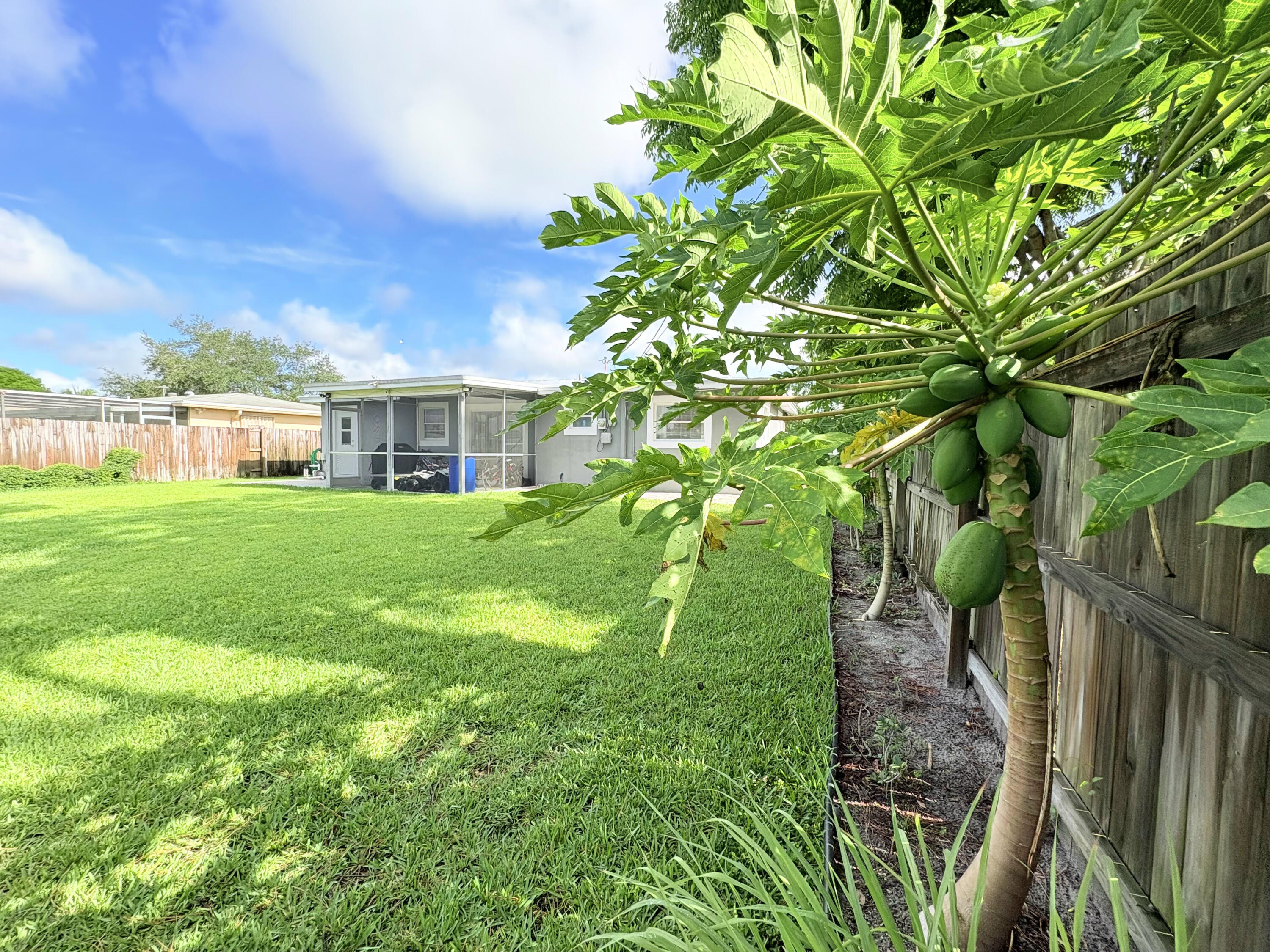 5910 Queen Anne Road West Palm Beach, FL 33415 - Photo 36 of 56 backyard5