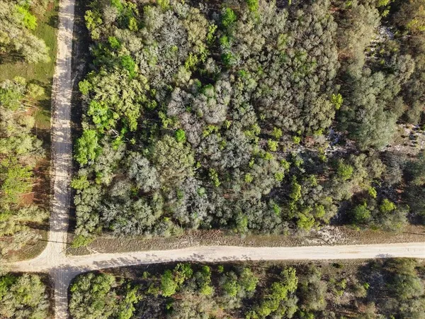 $40,000 | 362 Northeast 82nd Place, Bronson, FL 32621