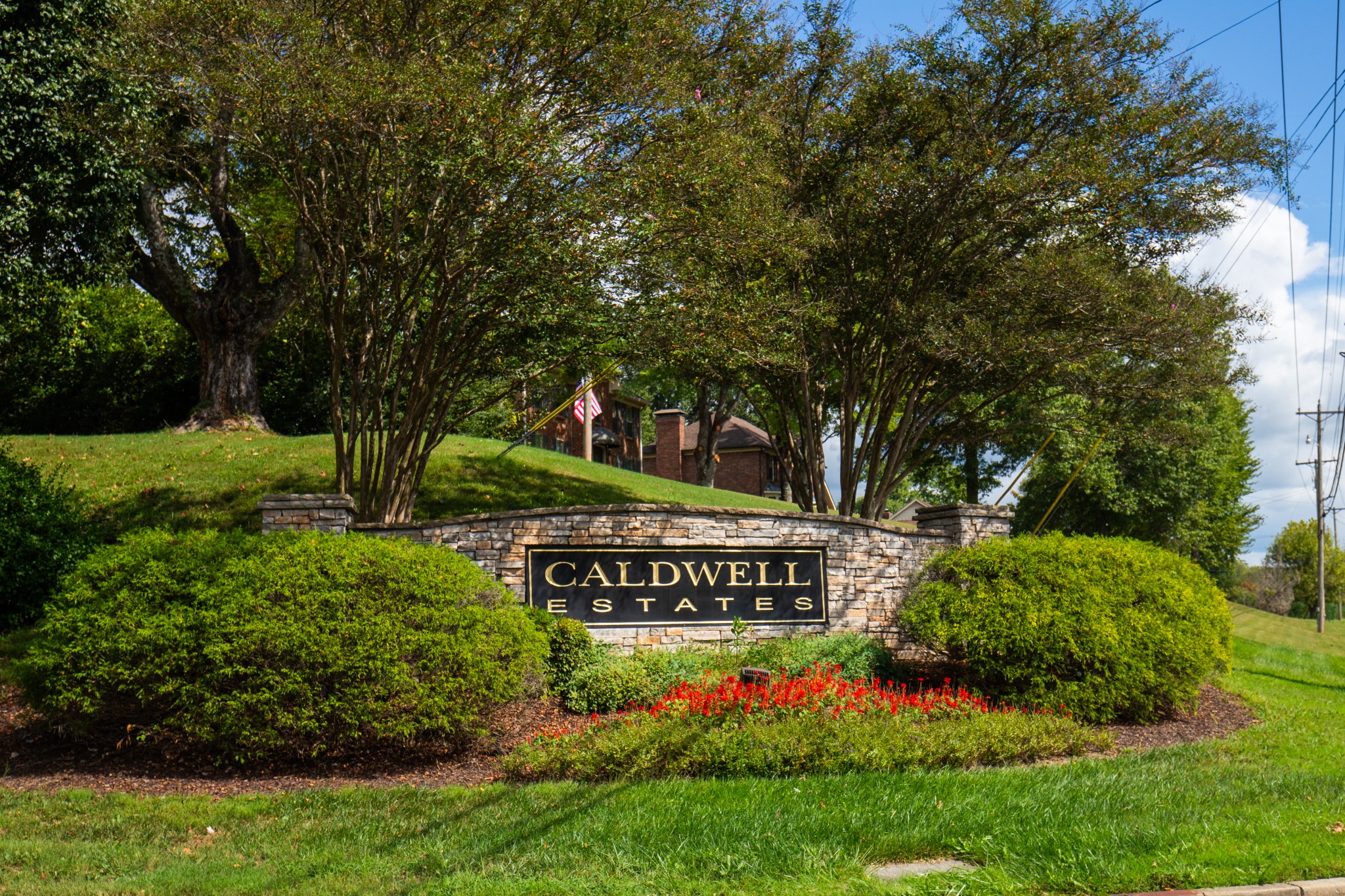 113 Chester Stevens Road Franklin, TN 37067 - Photo 30 of 31 a view of sign board and green space